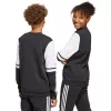 Sudadera adidas Squadra 25 Sweat Crew para niños negro JE2773 152cm