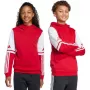 Sudadera con capucha adidas Squadra 25 Sweat Hoody para niños rojo JD4805 128cm