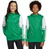 Sudadera con capucha adidas Squadra 25 Hoody para niños verde-blanco JP3163 128cm