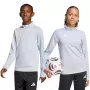 adidas Entrada 26 Chaqueta de entrenamiento para niños gris claro JZ6637 116cm