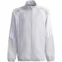 Blusa niños adidas Tiro 26 League Presentation gris claro JZ9053 140cm