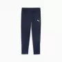 Pantalón hombre Puma Team Goal Training azul marino 658639 06 M