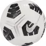 Nike Club Elite Team balón de fútbol blanco-negro-plata CU8053 100