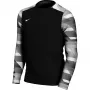 Nike Dry Park IV JSY LS GK Junior camiseta portero niños negro CJ6072 010 XS