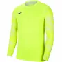 Nike Dry Park IV JSY LS GK Junior sudadera portero niños lima CJ6072 702 XS