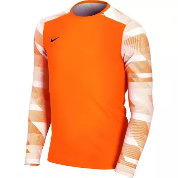 Nike Dry Park IV JSY LS GK Junior sudadera portero niños naranja CJ6072 819