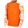 Nike Dry Park IV JSY LS GK Junior Sudadera Portero Naranja CJ6072 819 S