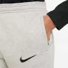 Nike Park 20 Fleece Pantalones niños gris claro CW6909 063