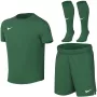 Conjunto deportivo para niños pequeños Nike Dri-FIT Park VIII, verde, HV8260 302, talla S