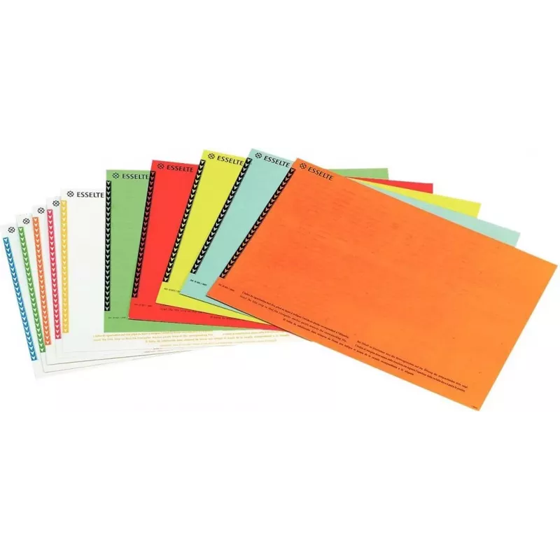 LEITZ Esselte etiquetas para archivadores colgantes para armarios, blanco, 60 x 12 mm, 100 etiquetas (326400)