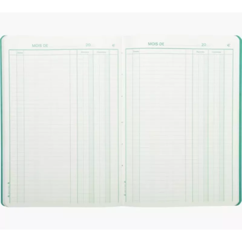 Le Dauphin Piqûre Recettes-dépenses, 297 x 210 mm (3931D) - 1 unidad (3931D)