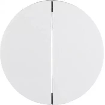 Hager WLW2010WG R.Classic interruptor de tecla doble con llave, blanco polar brillante