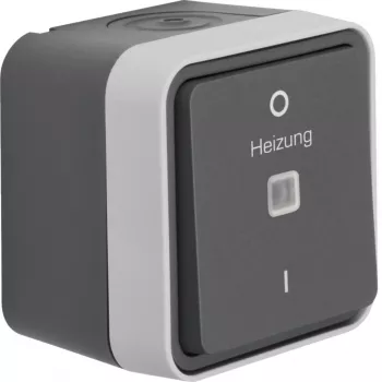 Hager WNC015 Interruptor de control de superficie 2 polos con piloto de control, gris