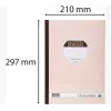 Le Dauphin Bloc de ingresos-gastos, 297 x 210 mm, dupli (1502D) - 1 bloc