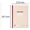 Formularios de pedido Le Dauphin Manifold Commandes, 297 x 210 mm, triplicado (1273D) - 1 unidad