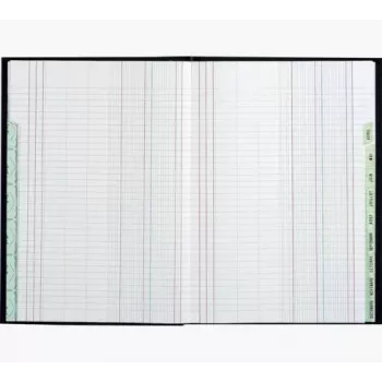 Libro planificador Le Dauphin A4, 96 páginas, 12 columnas, cubierta verde 39721D