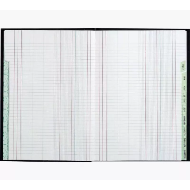 Libro planificador Le Dauphin A4, 96 páginas, 12 columnas, cubierta verde 39721D
