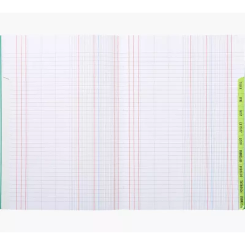 Libro planificador Le Dauphin A4, 96 páginas, 12 columnas, cubierta verde 39721D