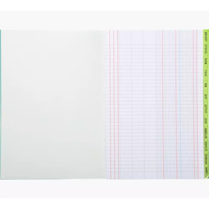 Libro planificador Le Dauphin A4, 96 páginas, 12 columnas, cubierta verde 39721D