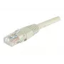 Dexlan cable de parcheo de red RJ-45 Cat6 U/UTP, 2 m, gris 854184