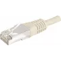 EXERTIS CONNECT Cable de red CAT.6a F/UTP, 0,3 m, gris, 10 Gbps 859501
