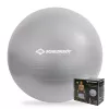 SCHILDKROT Balón de gimnasia 65 cm plata antiestallido 960156