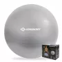 SCHILDKROT Balón de gimnasia 65 cm plata antiestallido 960156