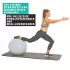 SCHILDKROT Balón de gimnasia 65 cm plata antiestallido 960156
