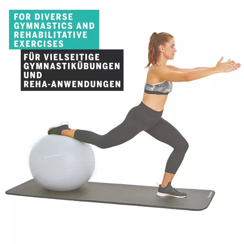SCHILDKROT Balón de gimnasia 65 cm plata antiestallido 960156