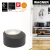 Wagner Design Yourself EH 5181 tope de puerta de suelo, zamak con tope de goma, níquel mate, 50 mm 15518111