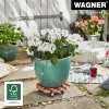 Wagner design yourself rodillo para plantas WPC GH 0535 redondo marrón 29 x 7,5 cm 20053501