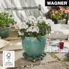 WAGNER design yourself rodillo para plantas GH0528 plástico, Ø 29 cm verde oscuro redondo, 1 ud. 20052801