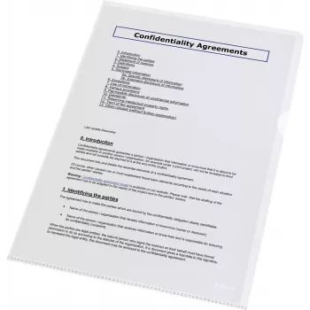 LEITZ Esselte Standard Plus Fundas perforadas A4, pack de 100, transparente, polipropileno 56218