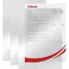 LEITZ Esselte Standard Plus Fundas perforadas A4, pack de 100, transparente, polipropileno 56218