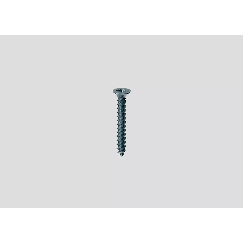 Märklin 07599 Tornillos de cabeza avellanada para vía C y vía K (200 uds.)