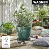 WAGNER design yourself rodapié con ruedas GH0558 plástico, Ø 38,5 cm verde oscuro redondo, 1 ud. 20055801