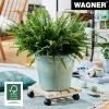 WAGNER design yourself rodapié con ruedas GH0037, madera de haya, beige, cuadrado, 29 x 29 x 8,3 cm, 100 kg de carga 20003701
