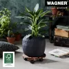WAGNER Multiroller Country Palisandro Rodante redondo para plantas, madera maciza de palisandro, 300 mm, 100 kg 20018301