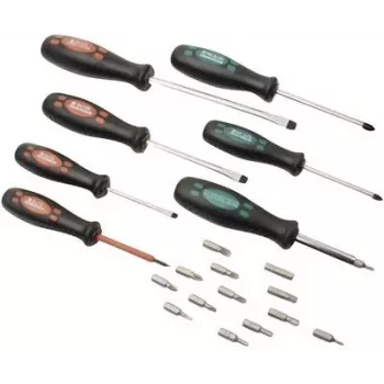 BRÜDER MANNESMANN set de destornilladores de taller de 21 piezas plano, Phillips, Pozidriv (M1190-21)