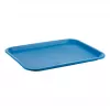 APS Bandeja azul rectangular 35,0 x 27,0 cm (539)