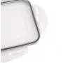 APS Cubitera con tapa, transparente/gris, set de 2, polipropileno, apta para lavavajillas 36103