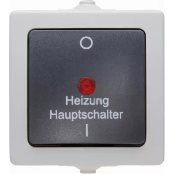 Kopp 565356002 Conmutador termoplástico negro-gris, empotrable, 10 A, 250 V AC