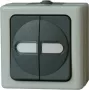 HEINRICH KOPP interruptor doble de superficie para zonas húmedas azul eléctrico gris 10A 250V 560556003
