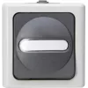 HEINRICH KOPP Interruptor universal BLUE ELECTRIC gris de superficie para zonas húmedas 10A, 250V (560656006)