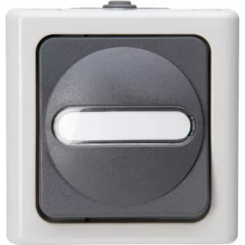 HEINRICH KOPP Interruptor universal BLUE ELECTRIC gris de superficie para zonas húmedas 10A, 250V (560656006)