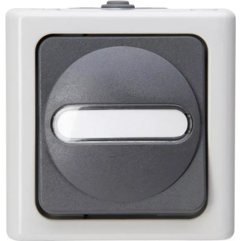 HEINRICH KOPP Interruptor universal BLUE ELECTRIC gris de superficie para zonas húmedas 10A, 250V (560656006)