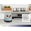 TFA Dostmann Búho Temporizador de cocina mecánico, turquesa, 60 minutos, analógico, sin pilas 38.1039