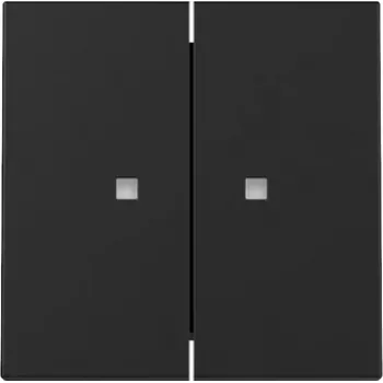 Gira System 55 Tapa basculante, 2 elementos, para función de control, negro mate 3631005