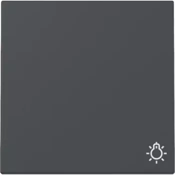 Gira System 55 Tapa basculante con símbolo de luz, antracita mate 328528