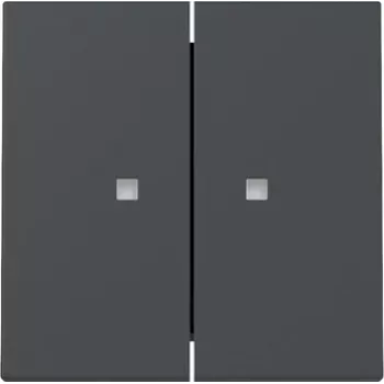Gira System 55 Tapa de interruptor de doble tecla con ventana de control, antracita mate 363128
